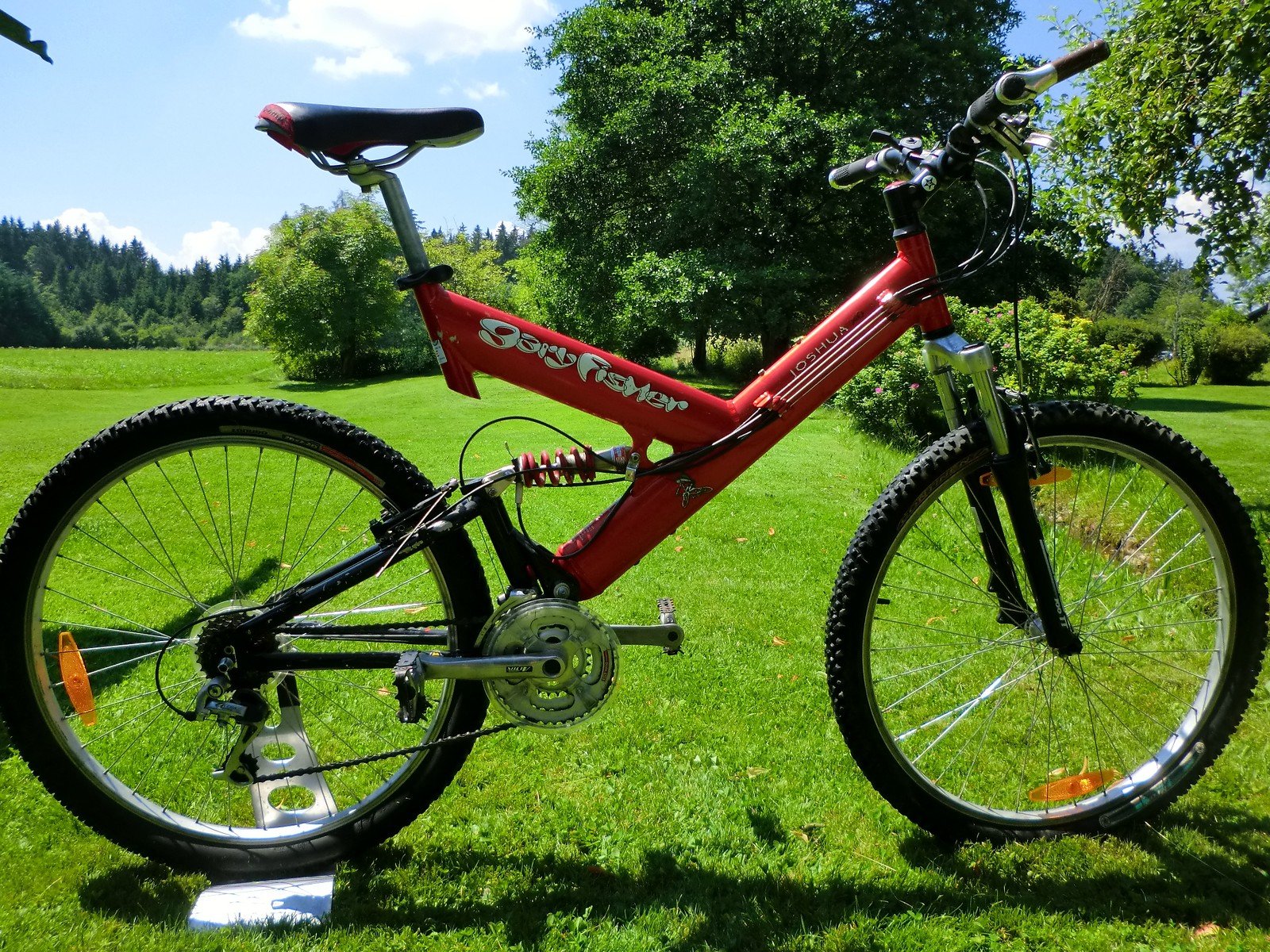 Gary fisher best sale downhill bike