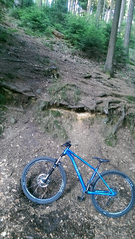 Die besten Tipps für Mountainbike-Einsteiger