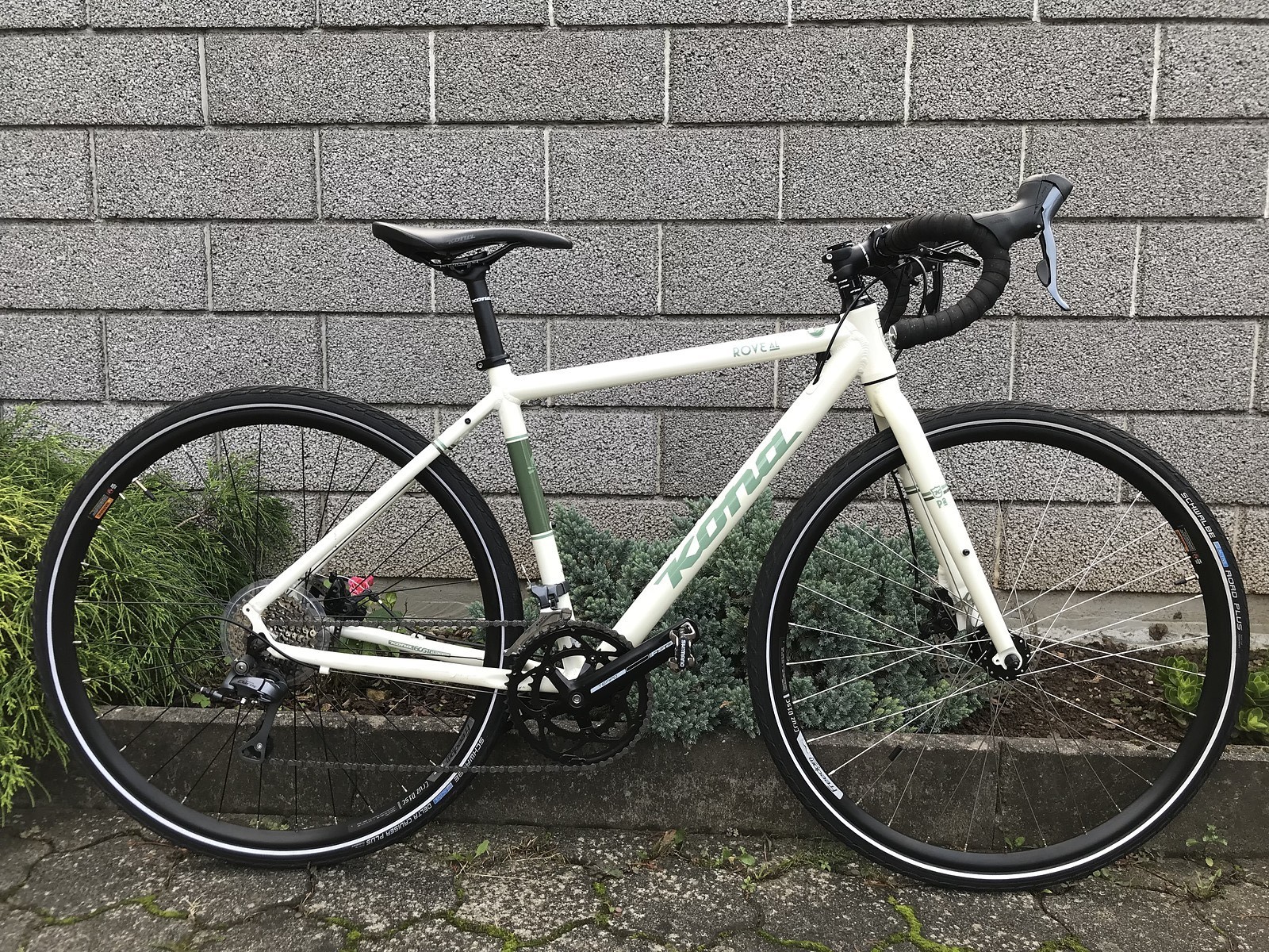 kona rove al 650 gravel bike