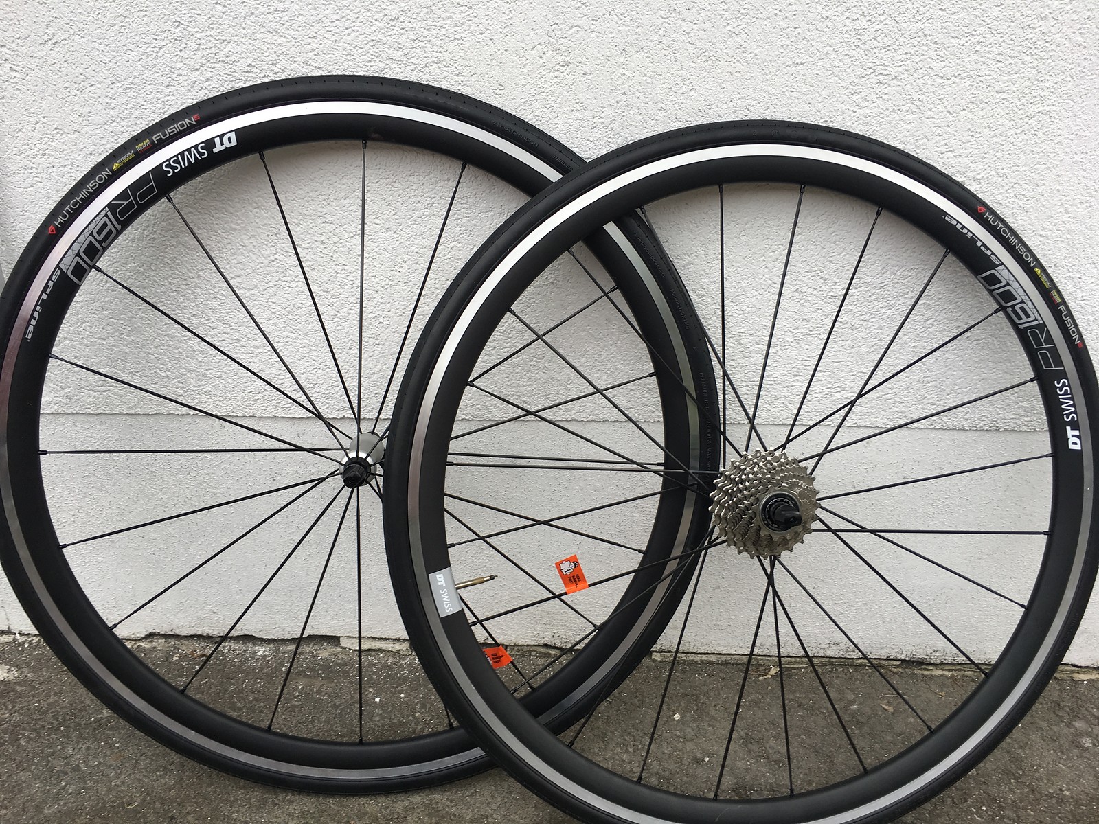 DT Swiss PR 1600 Spline DB 32 NEU Bikemarkt.MTBNews.de