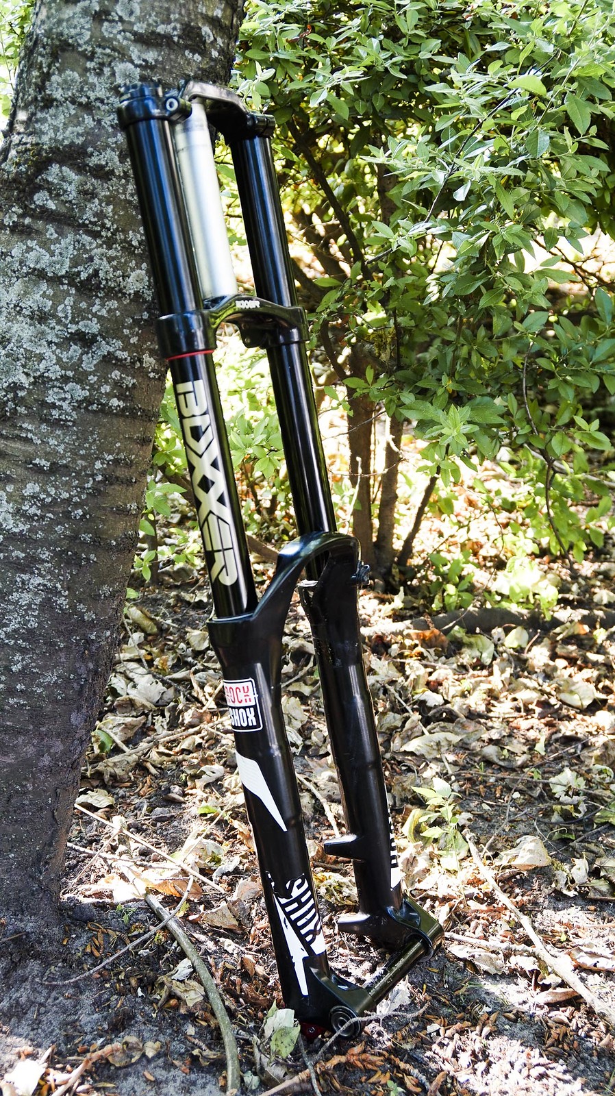 rockshox boxxer team 650b