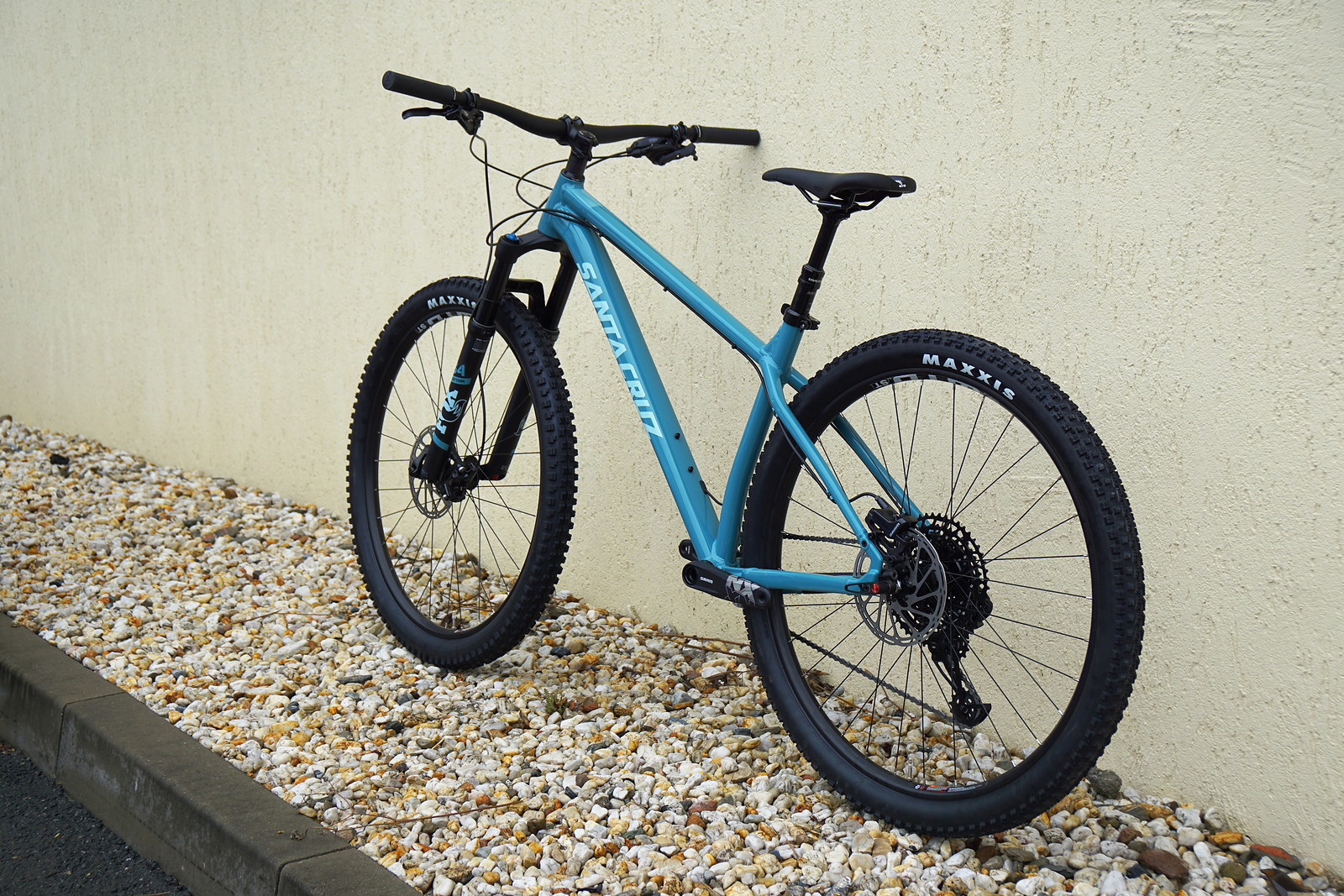 santa cruz chameleon blue