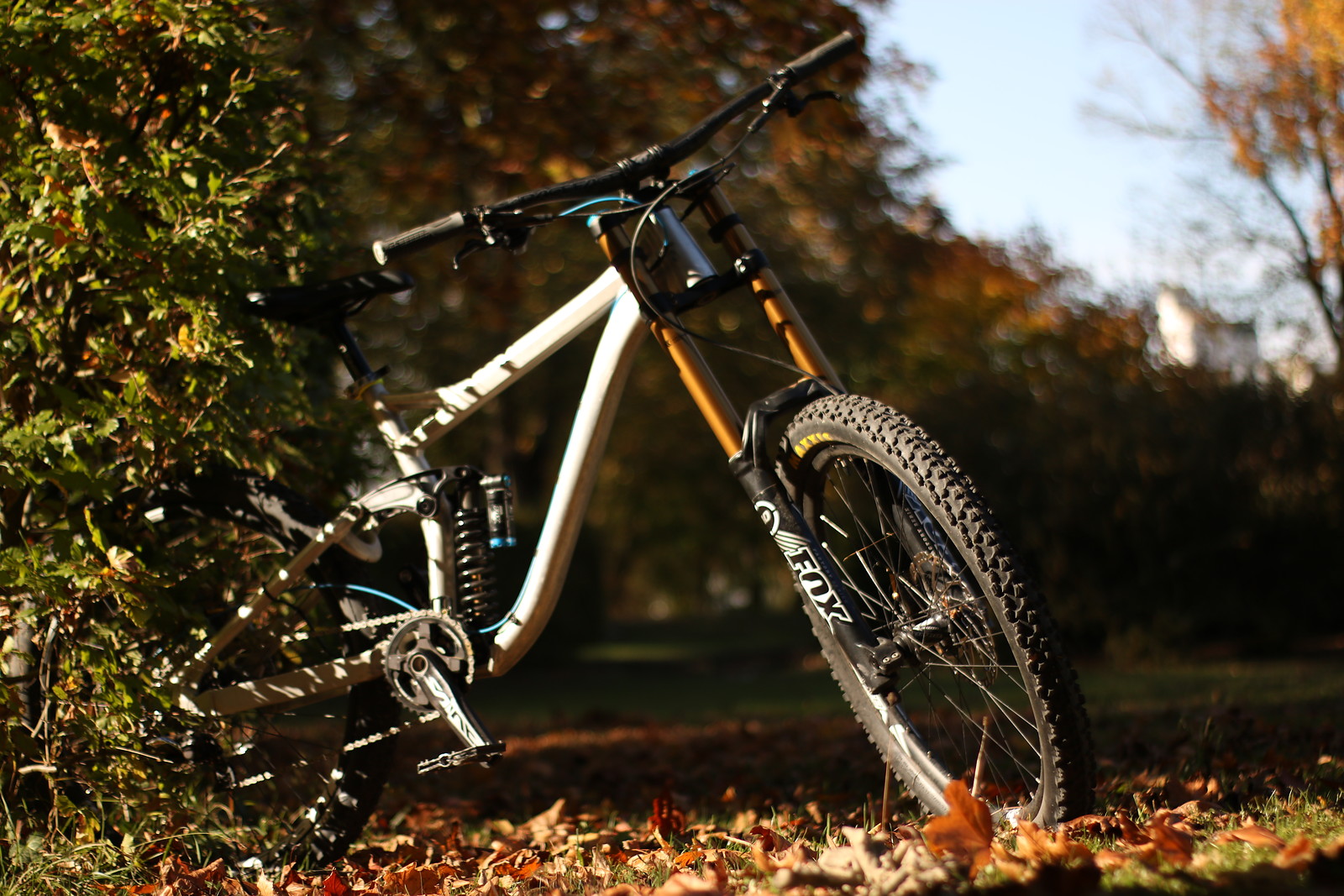 radon swoop 210 downhill