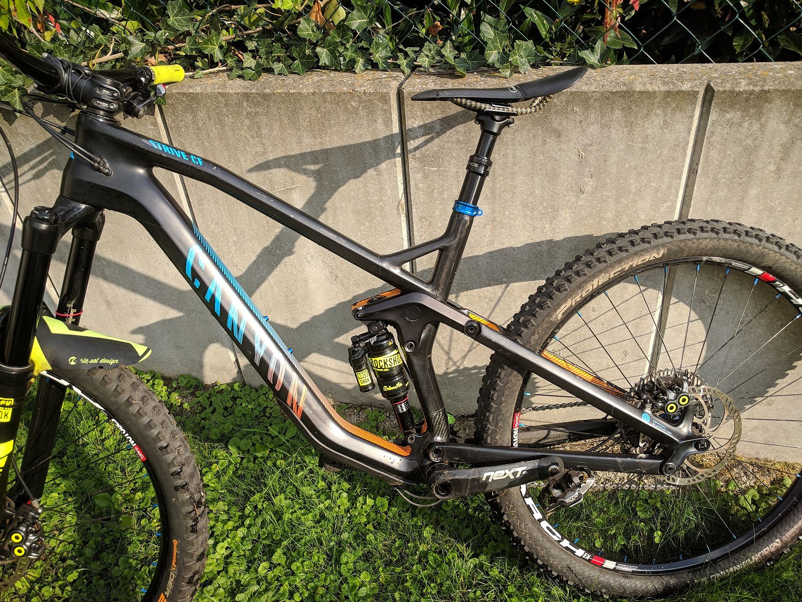 canyon strive frame