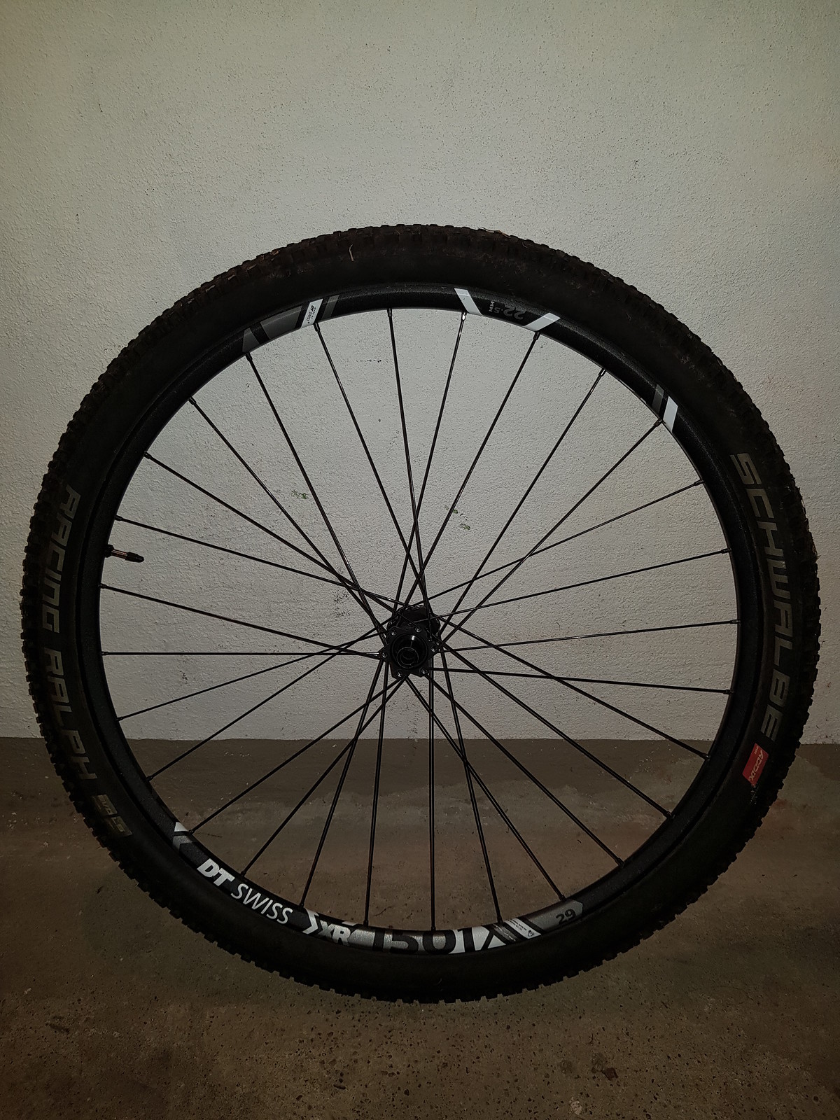 dt swiss xr 1501 spline one 29 wheelset