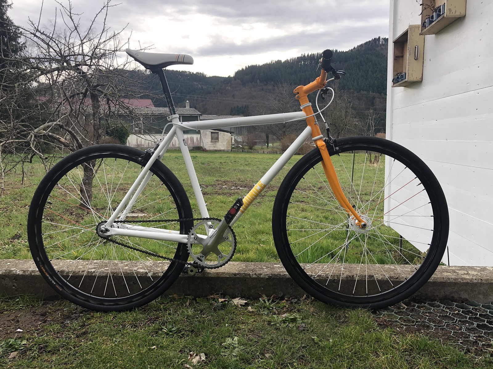 mongoose fixie