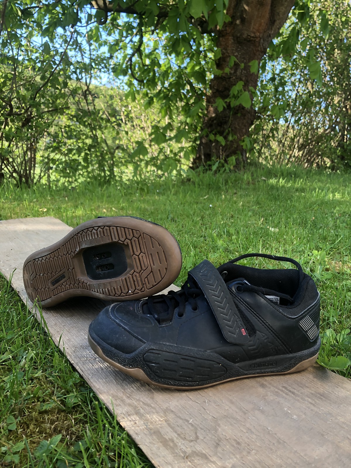 shimano am5 mtb spd shoes