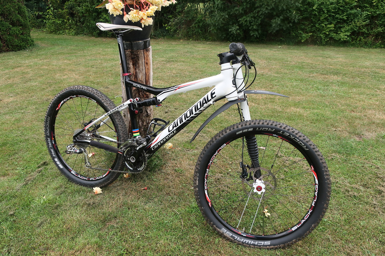 cannondale lefty scalpel