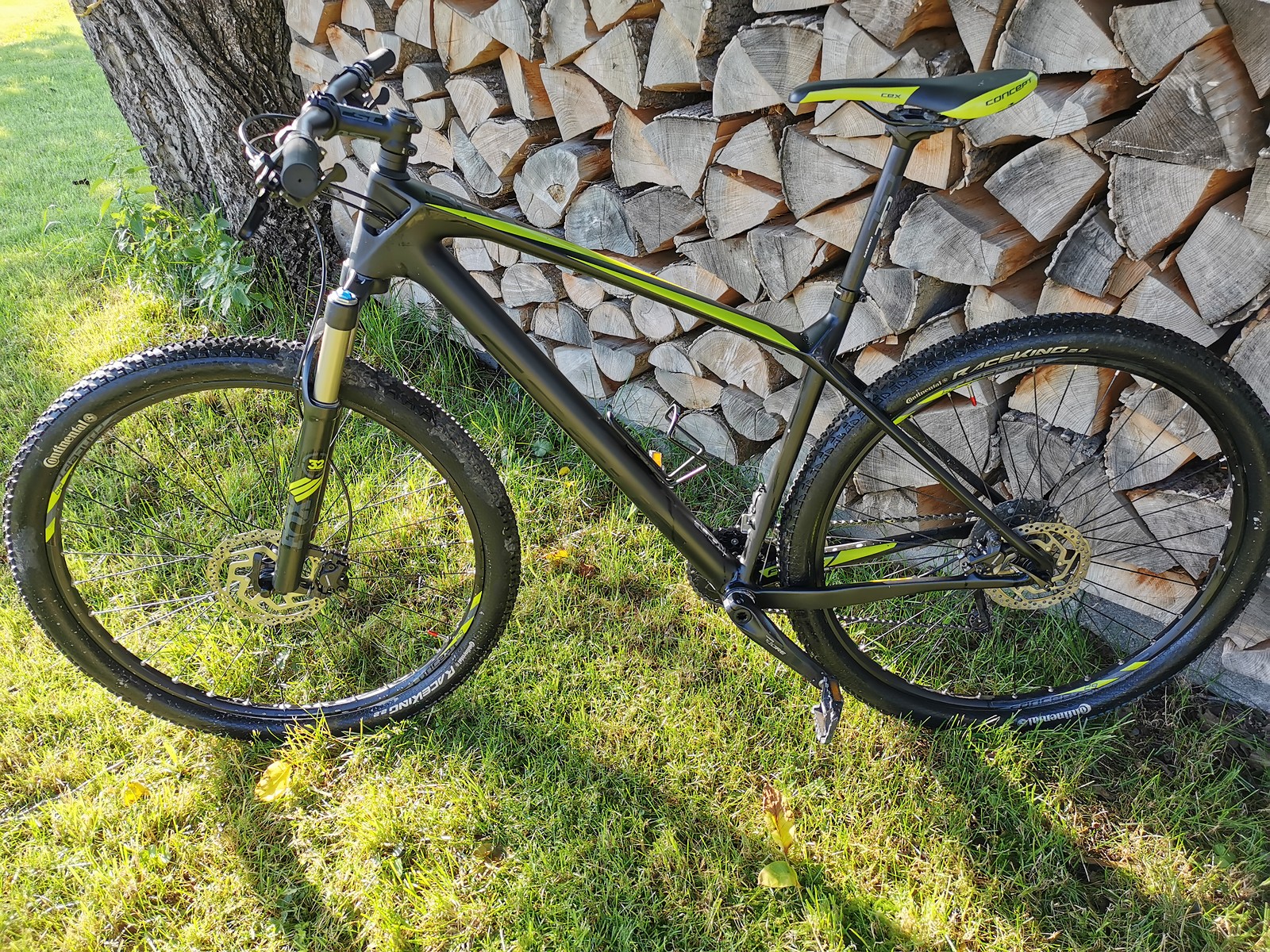 Focus Raven Carbon Hardtail Ltd 29 Zoll Carbon Hardtail | Bikemarkt.MTB ...