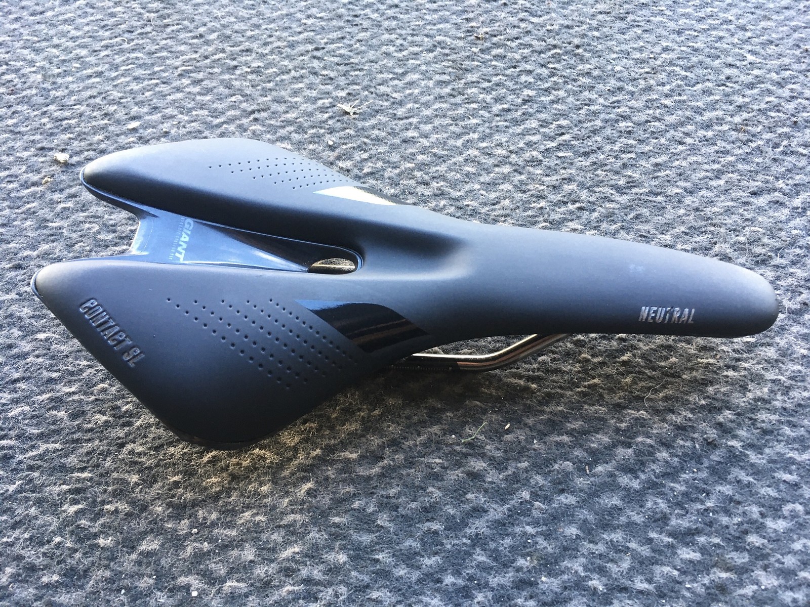 giant contact forward saddle