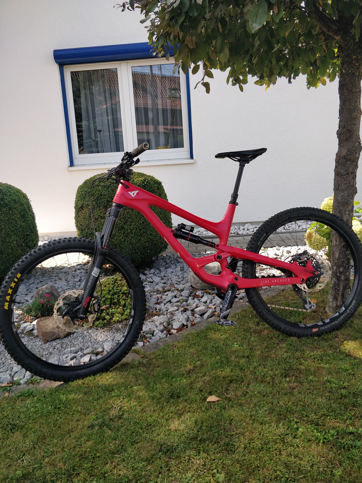 yt capra cf pro 29 2019