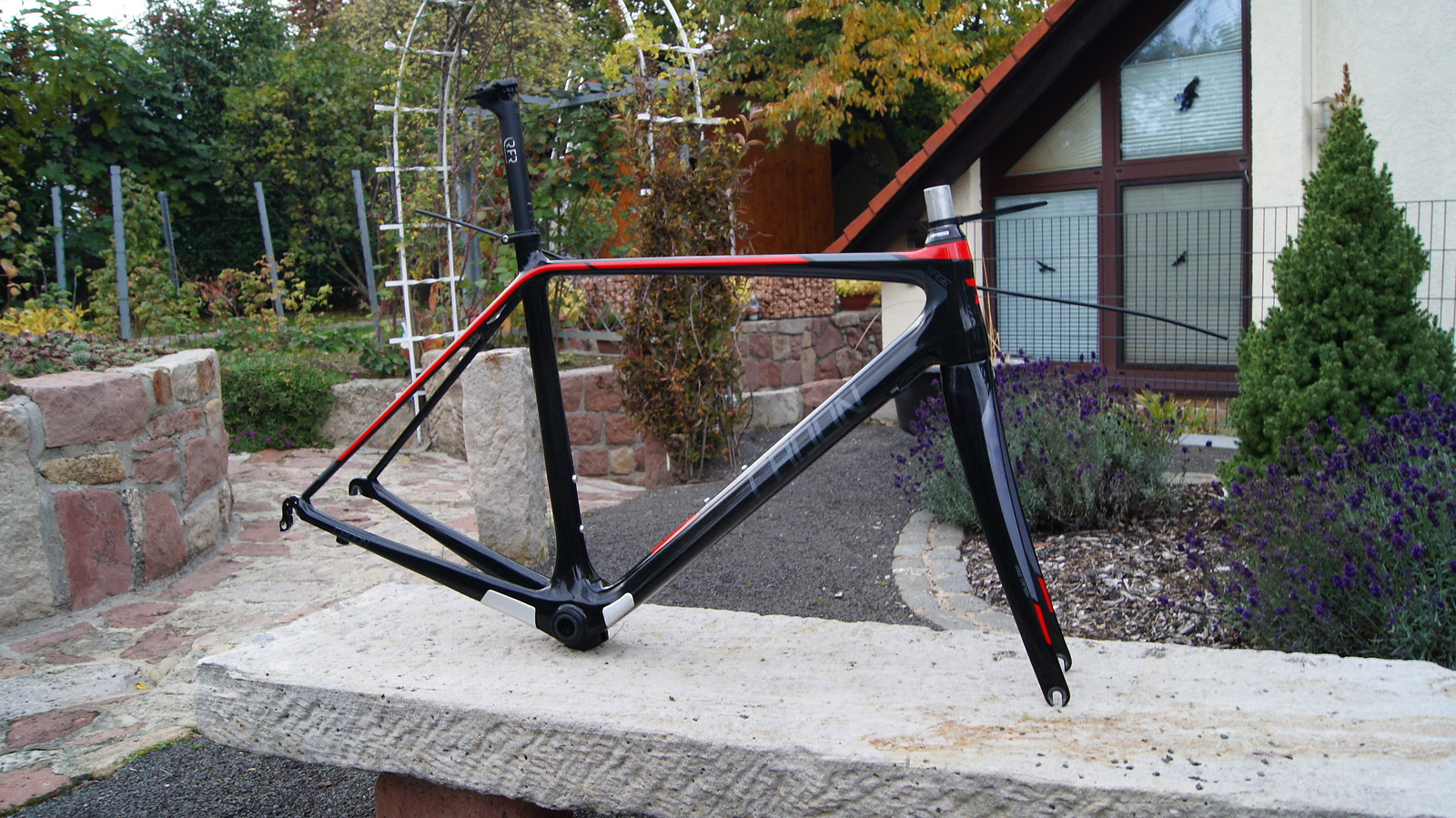 radon sage carbon 105