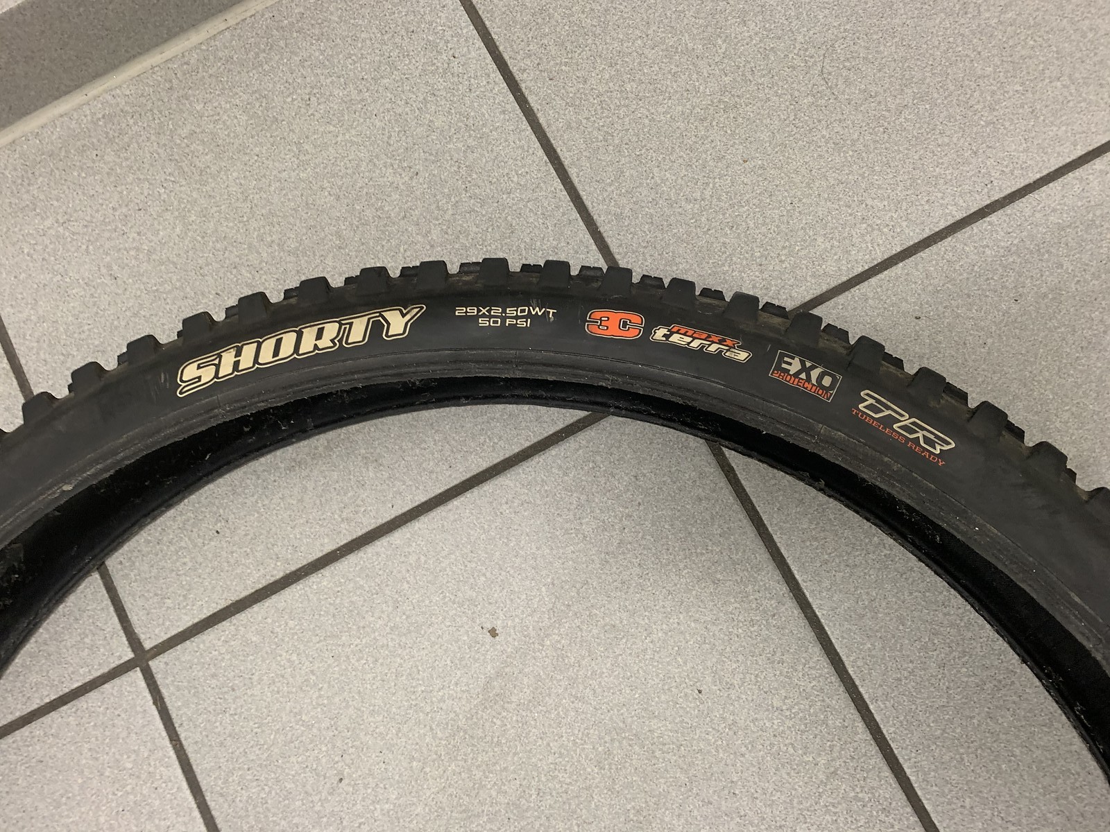 maxxis shorty 29 2.5 wt