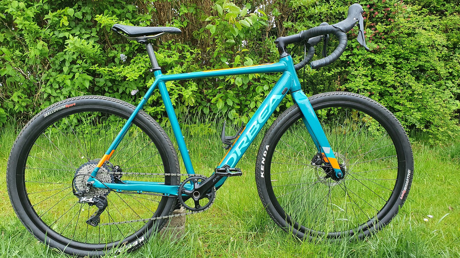 orbea d31 2020