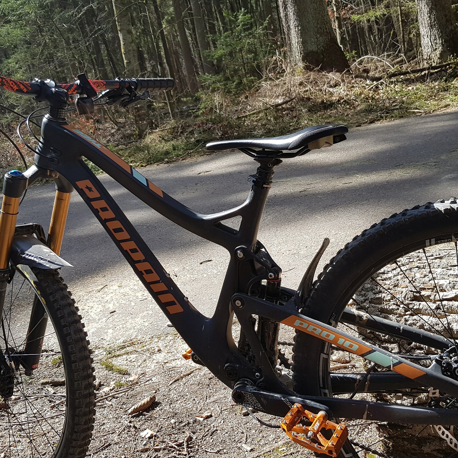 propain mtb