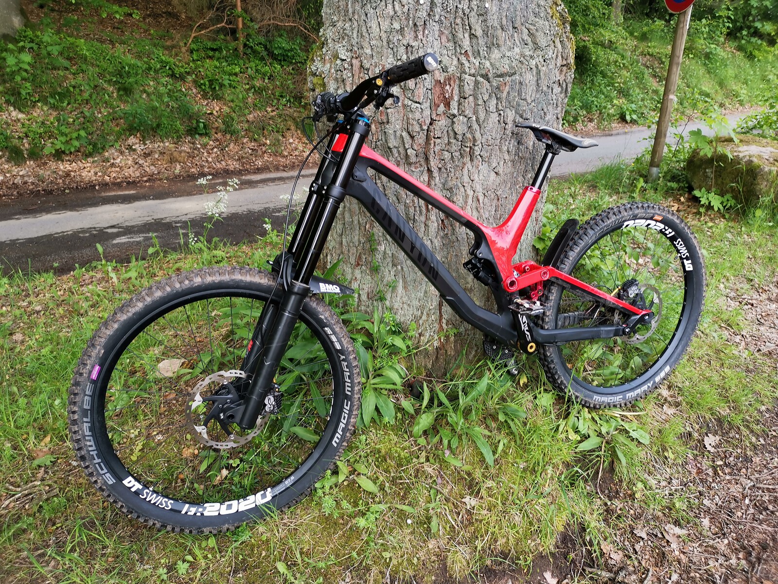 2021 trek dual sport 2