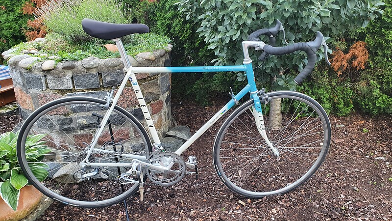 raleigh road ace select 600