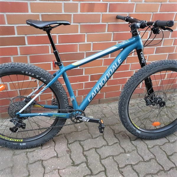 Cannondale East Of The Beast 1 Bikemarkt Mtb News De