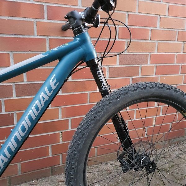 Cannondale East Of The Beast 1 Bikemarkt Mtb News De