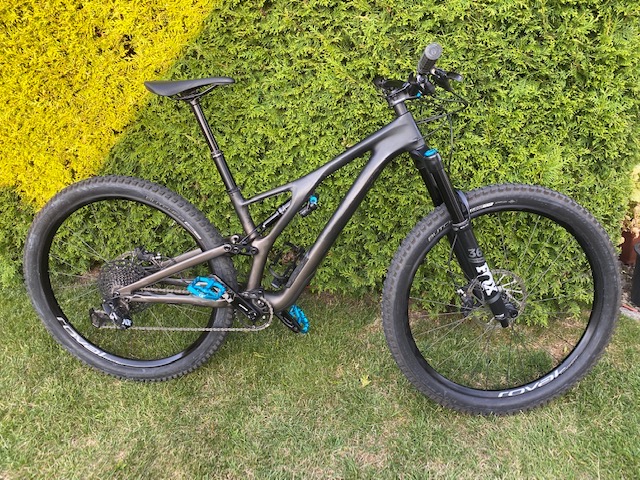 specialized stumpjumper comp carbon 29 2019