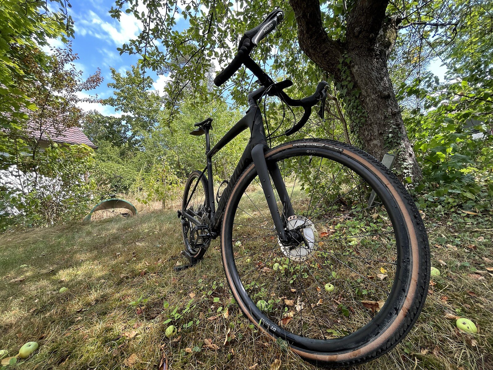 marin alpine trail