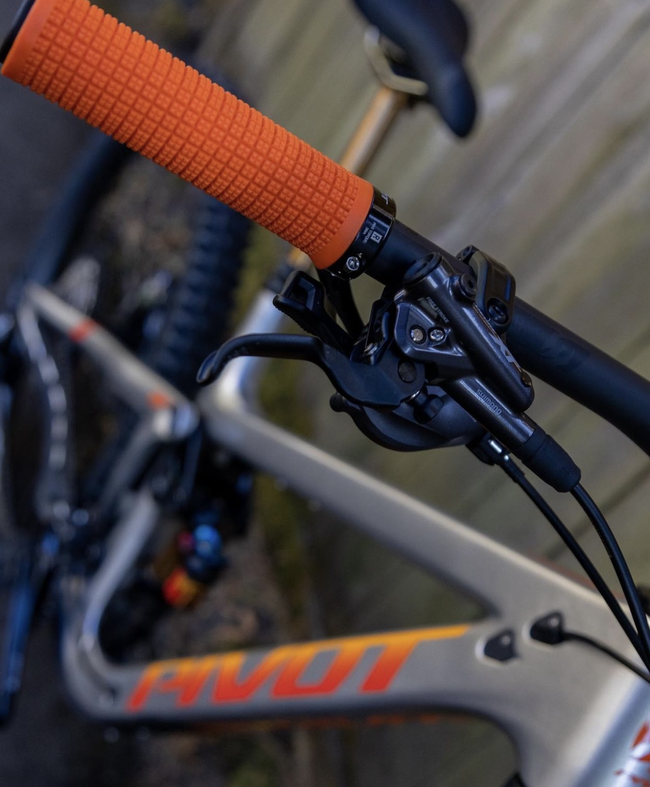 Pivot Firebird Bikemarkt.MTBNews.de