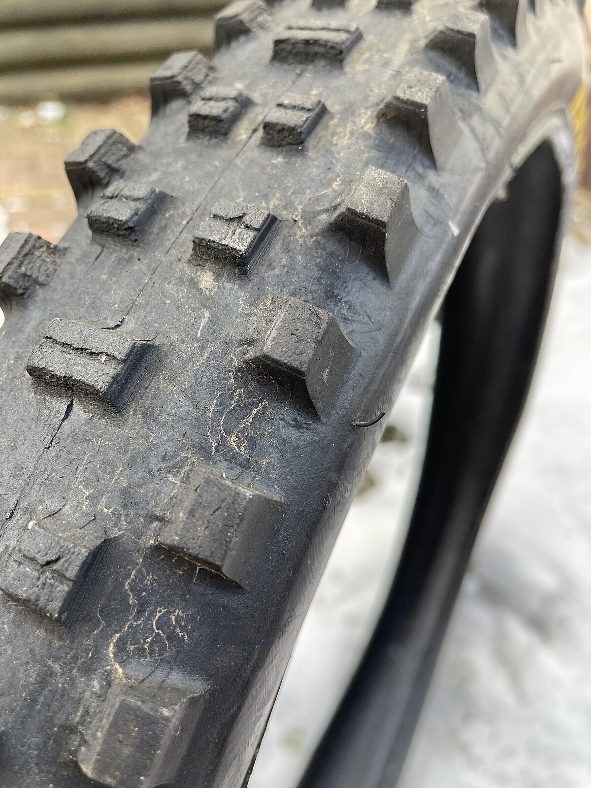 maxxis shorty dh