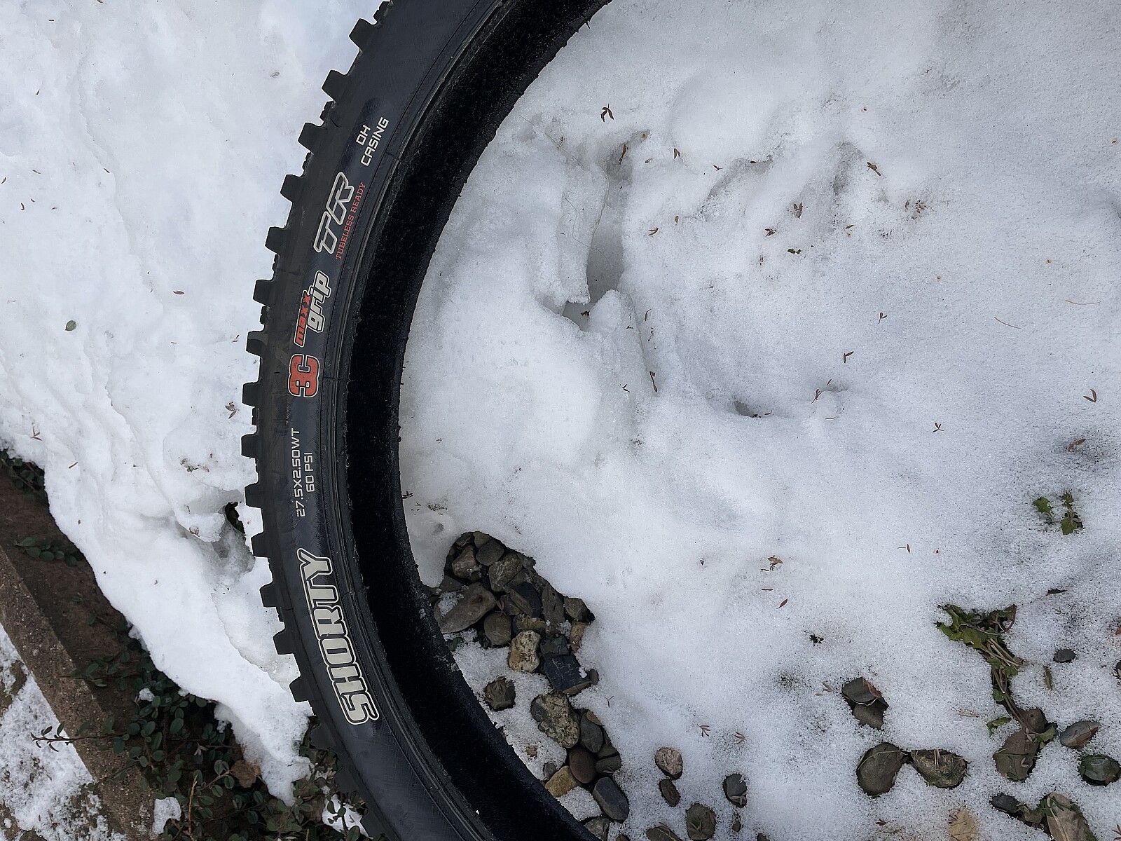 maxxis shorty dh