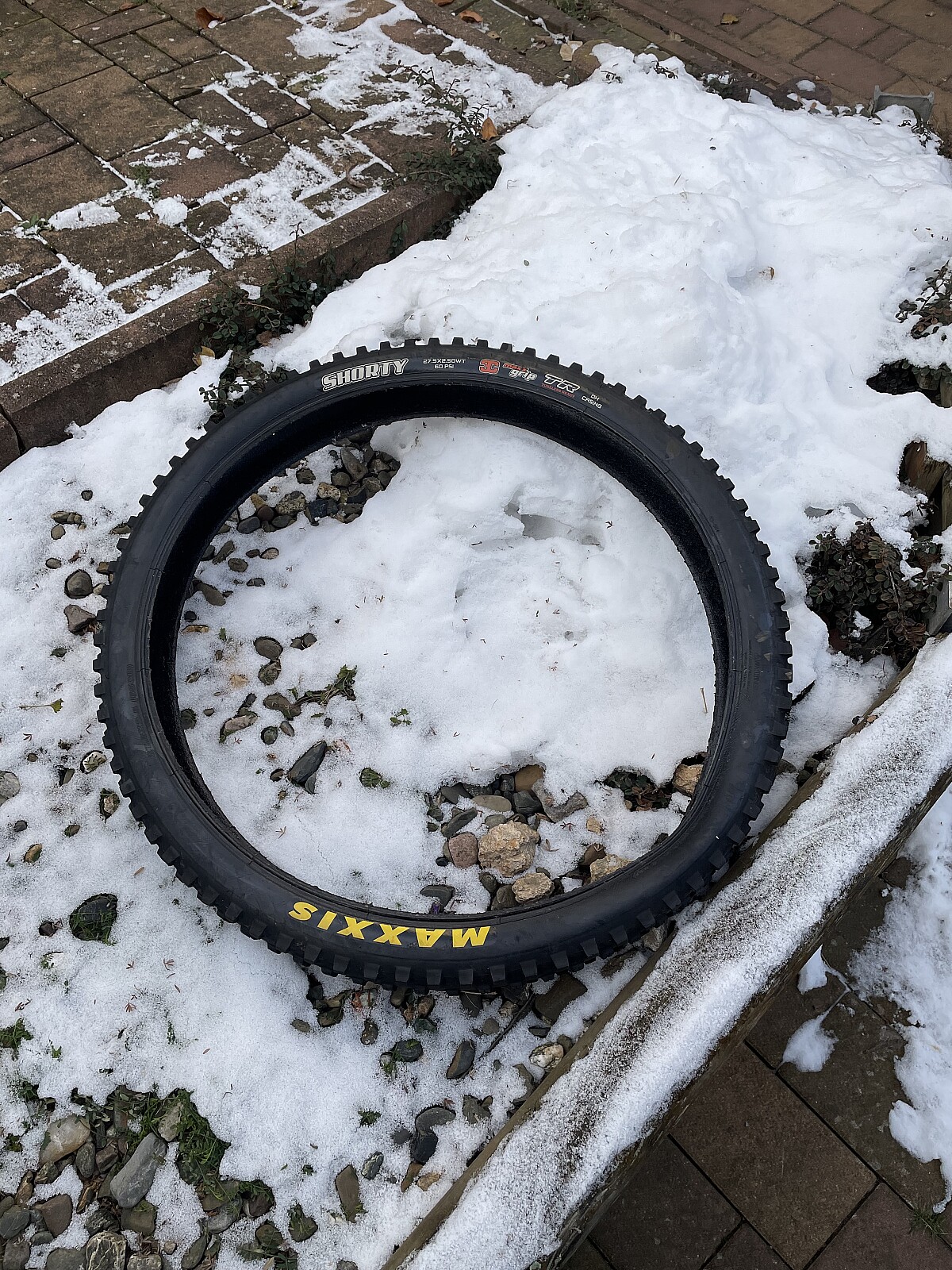 maxxis shorty dh