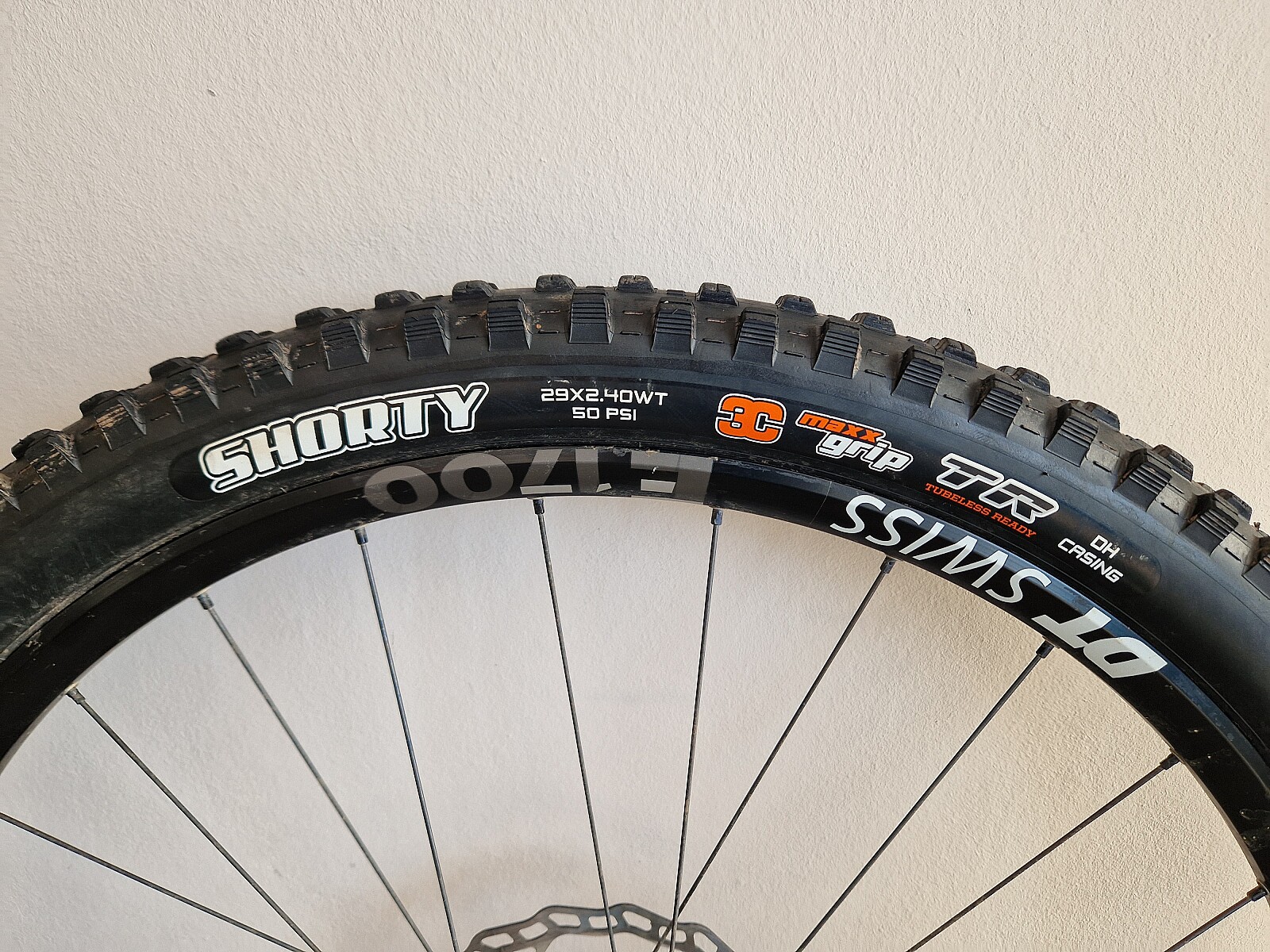 maxxis shorty dh