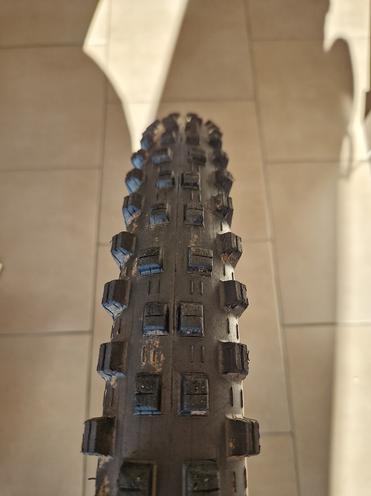 maxxis shorty dh