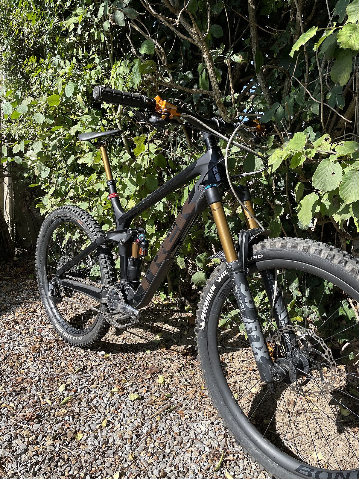 Trek remedy 170mm online fork