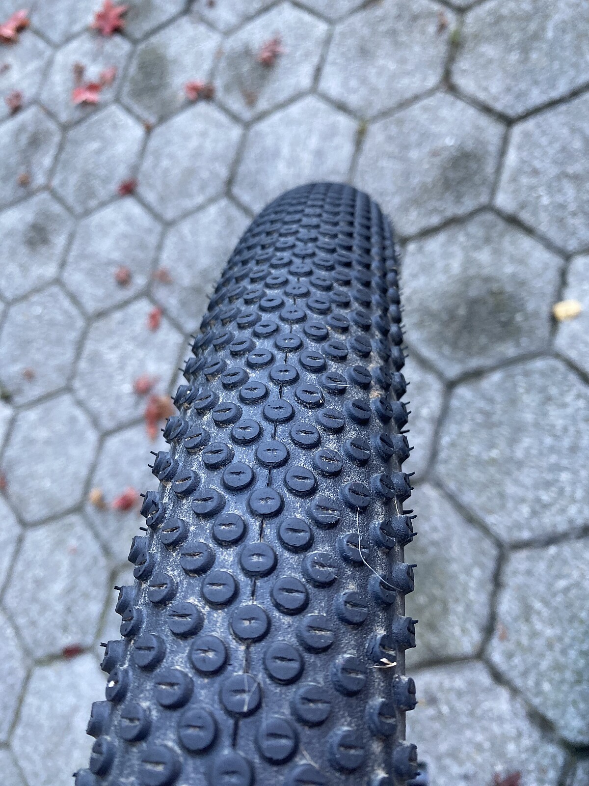 dt swiss gravel 650b