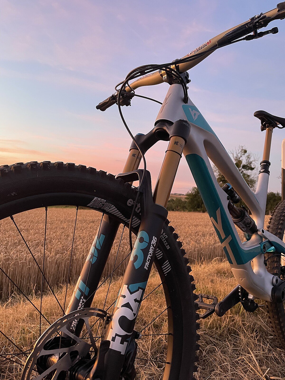 2019 yt capra discount 27.5