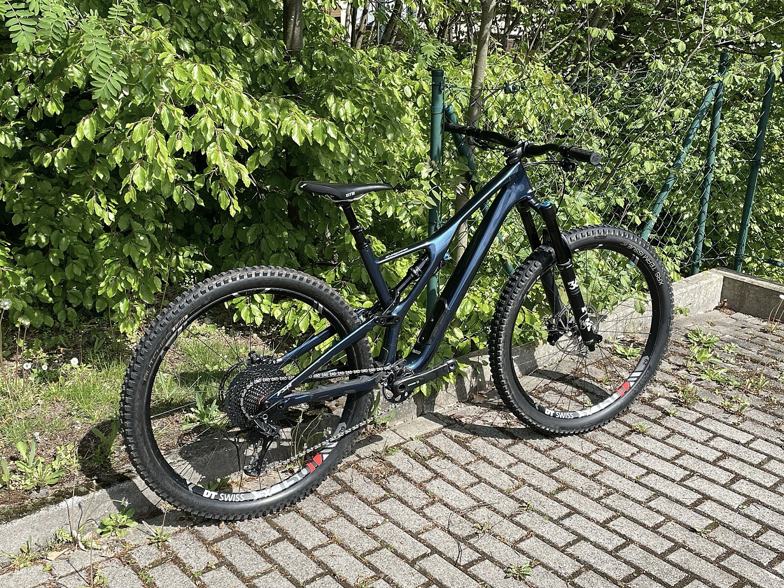 Stumpjumper on sale expert 2020