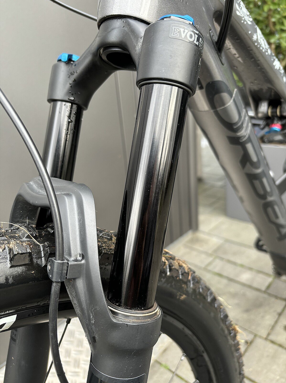 Orbea Occam M30 Eagle L neuwertig Bikemarkt.MTB News